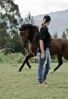 /album/fotogaleria/a1-3-2-alta-1-jpg/